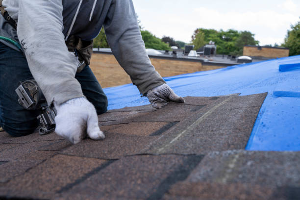 Best Storm Damage Roof Repair  in Shanor Northvue, PA